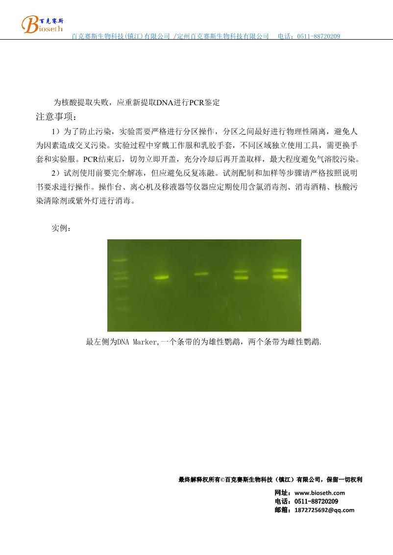 鸚鵡性別鑒定試劑盒（普通PCR法）(0)_2.JPG